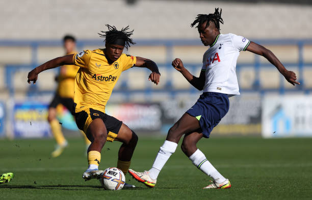 化打法选择 化打法选择