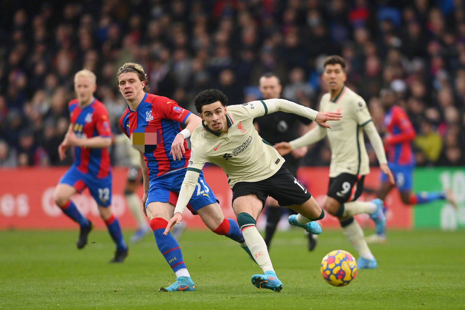 对未来的规 对未来的规